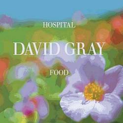 David Gray : Hospital Food